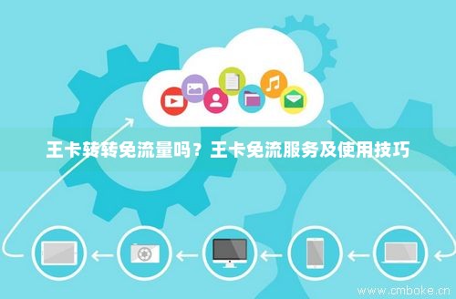 苹果用王卡怎么免流量(王卡流量怎么用不了了) 苹果用王卡怎么免流量(王卡流量怎么用不了了)